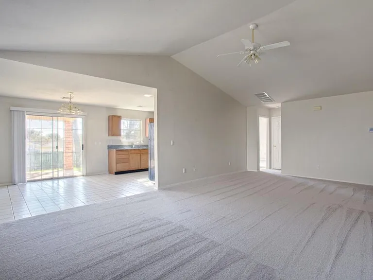 1028 Pinelake Ct — Photo 15