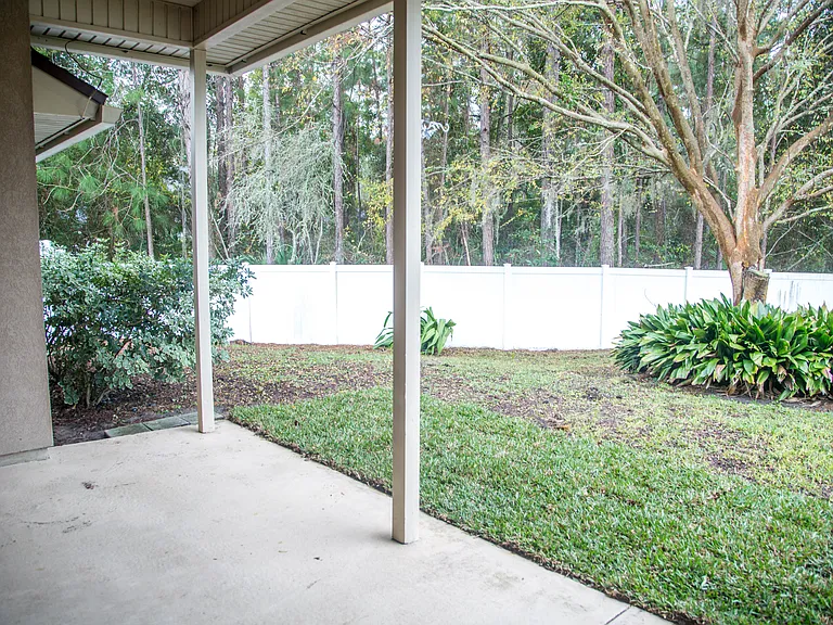 Backyard