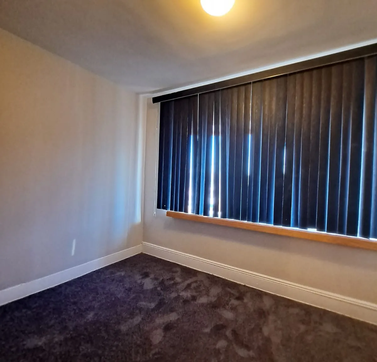 3 bed, 1200 sqft, $3,500 — Photo 3