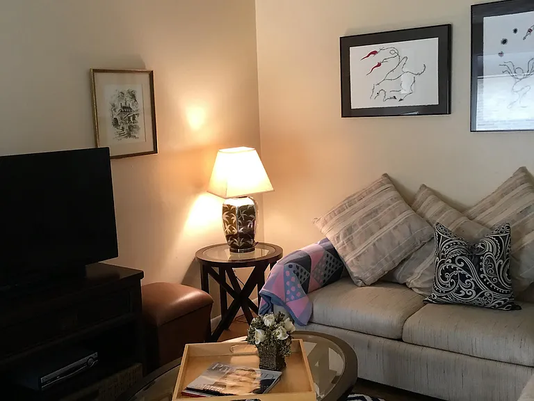 Bright, Comfy Living Room