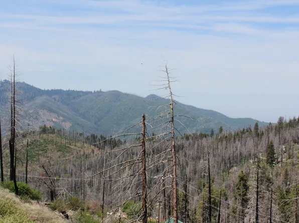 53184 Pine View Drive, Springville, CA 93265