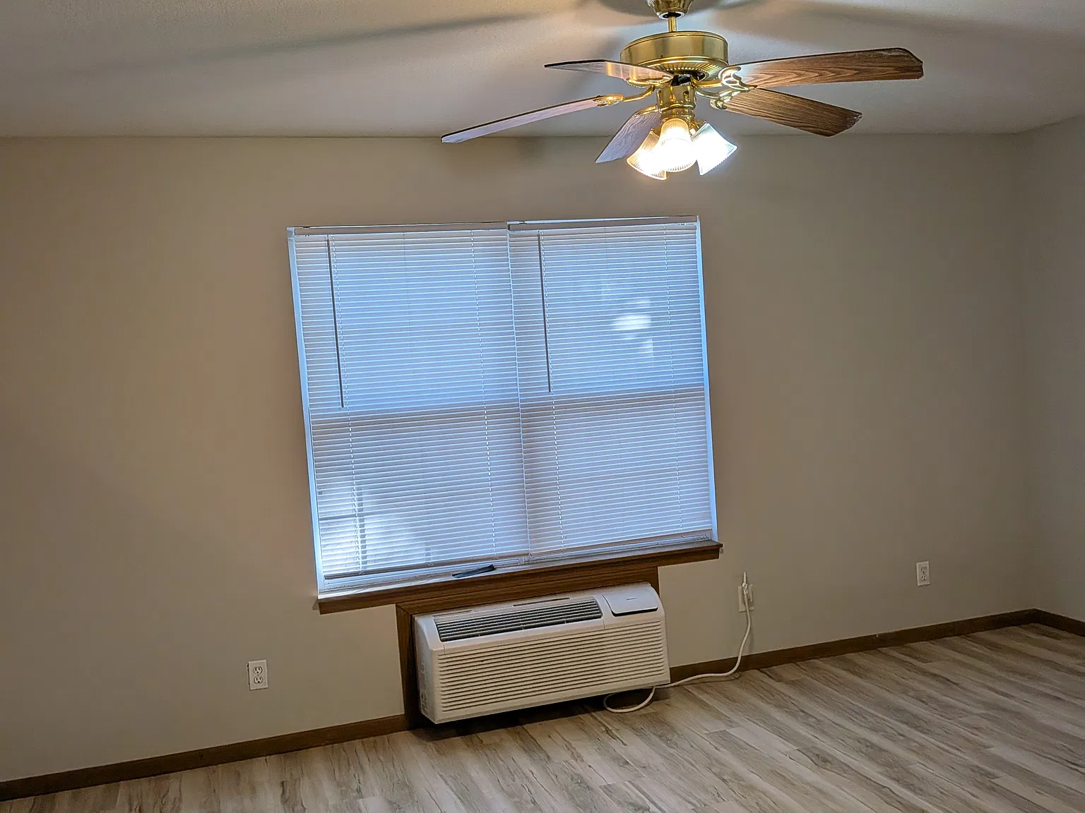 Studio, 588 sqft, $825 — Photo 3
