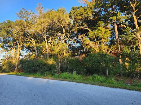 Cedar Trce, Ocala, FL 34472