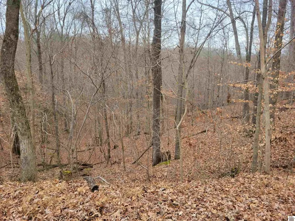 0 Parkview Dr #148-149-150, Eddyville, KY 42038