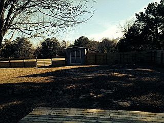 Fenced backyard