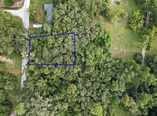 Orange Avenue Lot #11, Yalaha, FL 34797