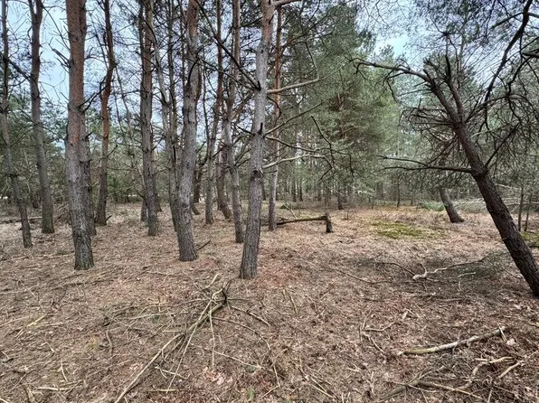 6526 Cedar Trce, Stanwood, MI 49346