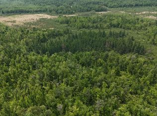 Speckled Trout Rd, Sandstone, MN 55072