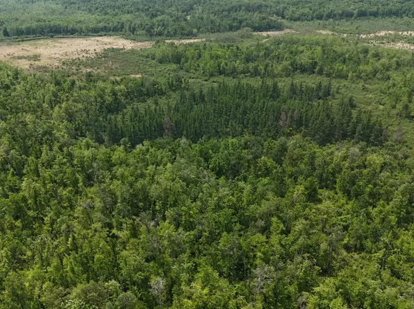 Speckled Trout Rd, Sandstone, MN 55072