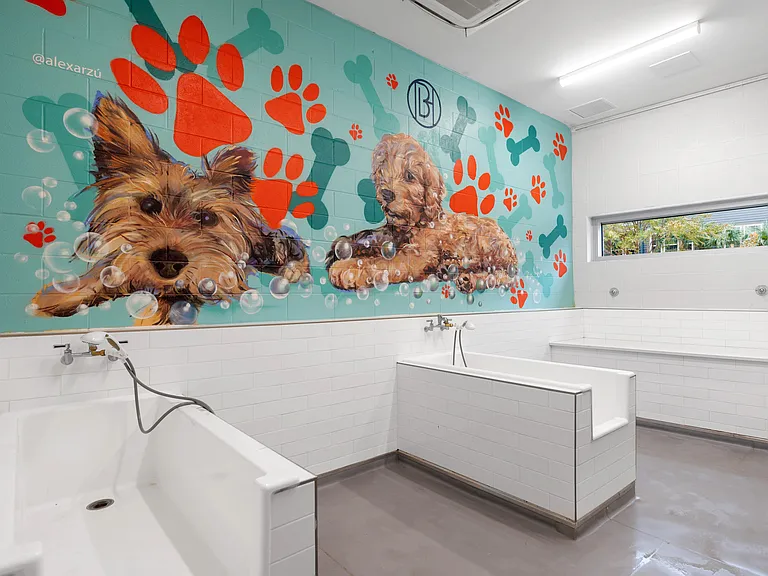Dog Spa