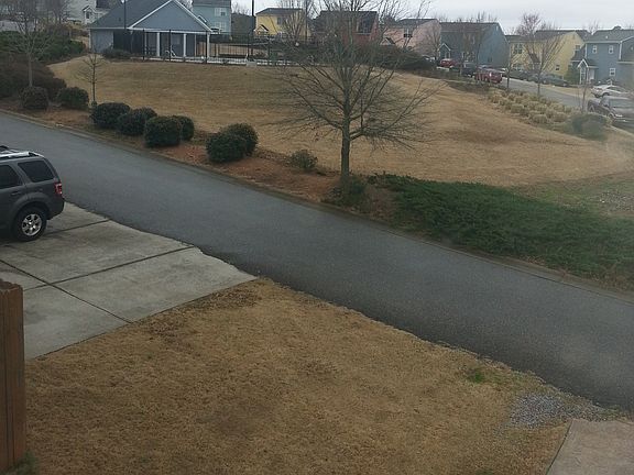 View out the Back