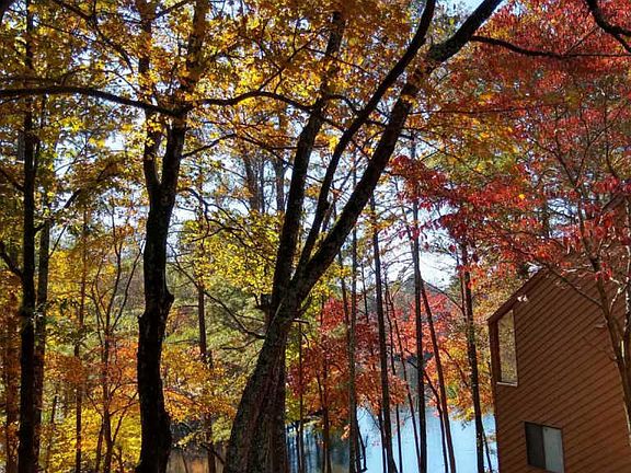 3rd image of 115 Dogwood Lake Ct