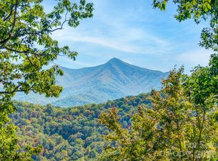 100 White Rock Branch Rd, Candler, NC 28715