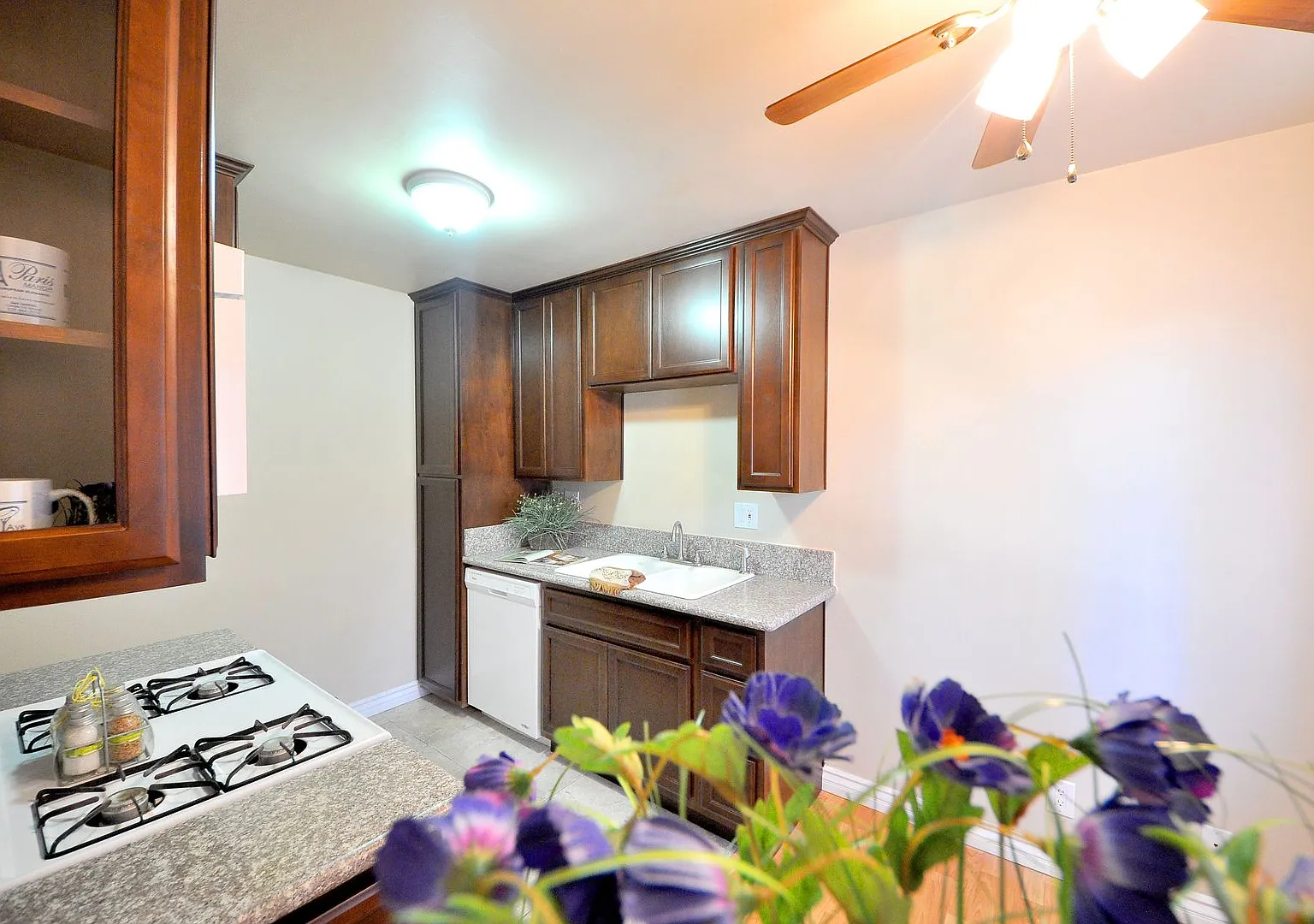 Temple City Vista, LLC — Photo 4