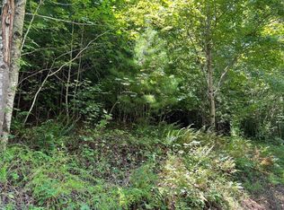 LOT 69 Fires Creek Rd, Hayesville, NC 28904