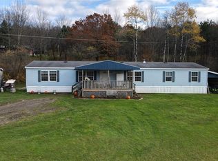 973 Sapbush Rd, Greene, NY 13746
