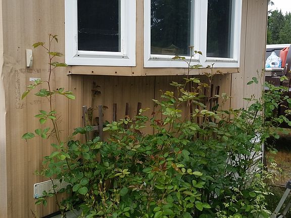 5th image of 19816 67th Ave E