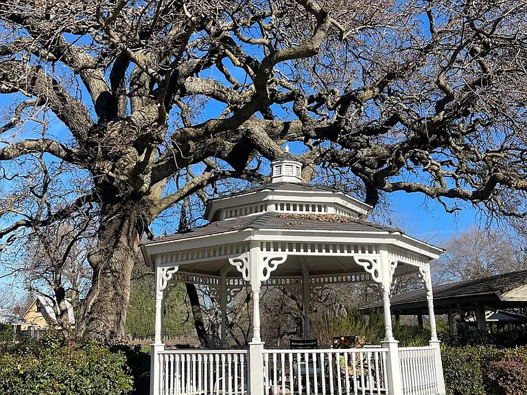 Whispering Oaks — Photo 20