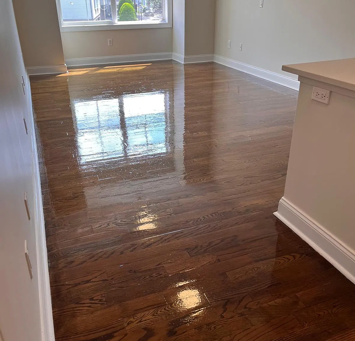 743 Park Ave — Photo 4
