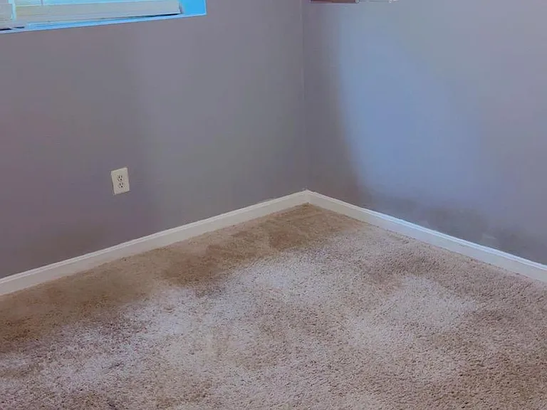 3300 Yellow Flower Rd — Photo 10