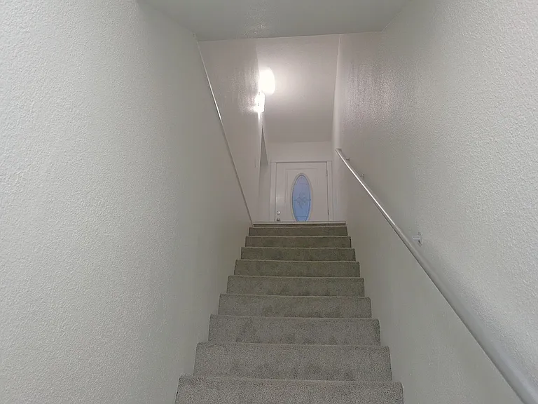 Trees Apartment Available Now — Photo 10