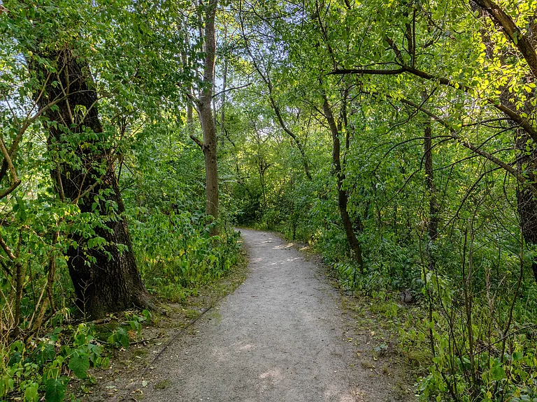 Enjoy a nature walk along the Charles River Walk