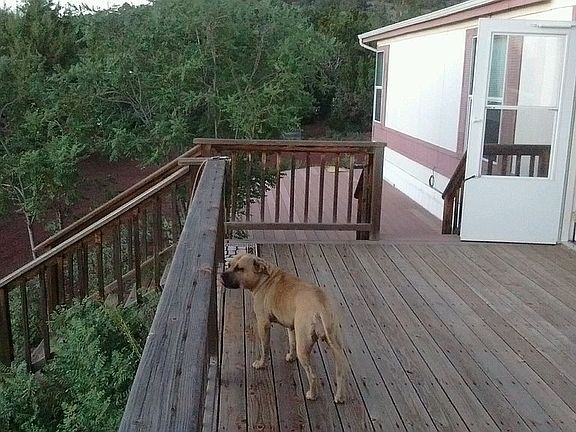4th image of 7175 N Wild Horse Dr