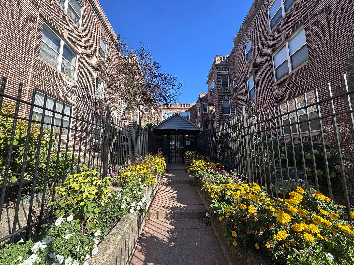 Ked Z, LLC — Photo 1