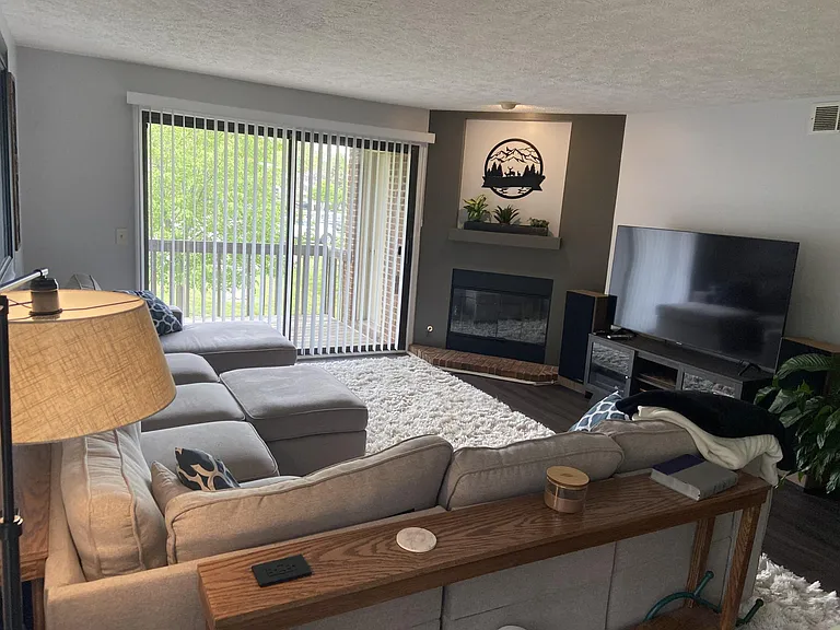 Living Room Pic 7