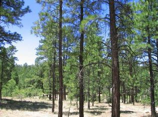 2515 Pine Valley Rd, Happy Jack, AZ 86024