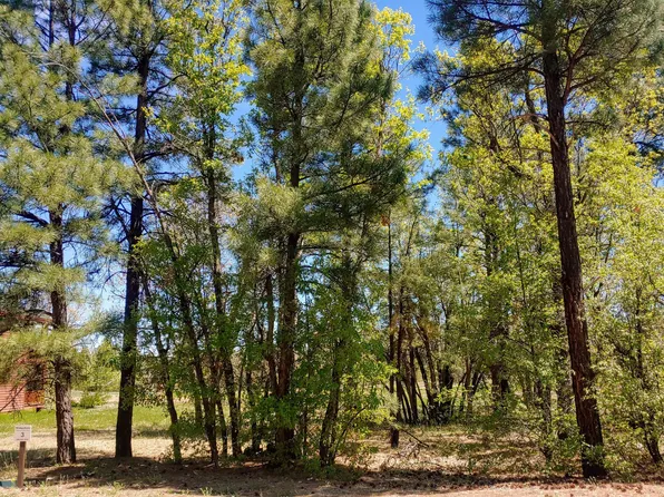 2700 W Snowberry Loop, Show Low, AZ 85901
