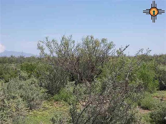 4th image of Camino Dos Rd SW