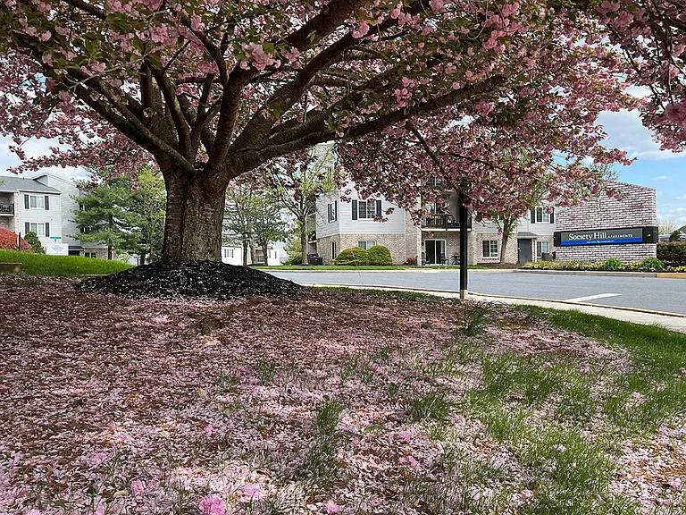 Society Hill — Photo 21