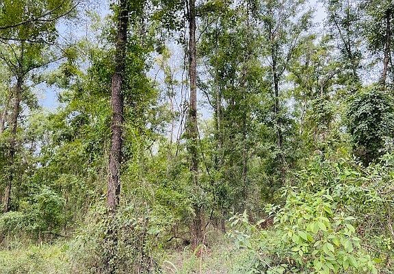 4th image of LOT 5 NW 67th Pl