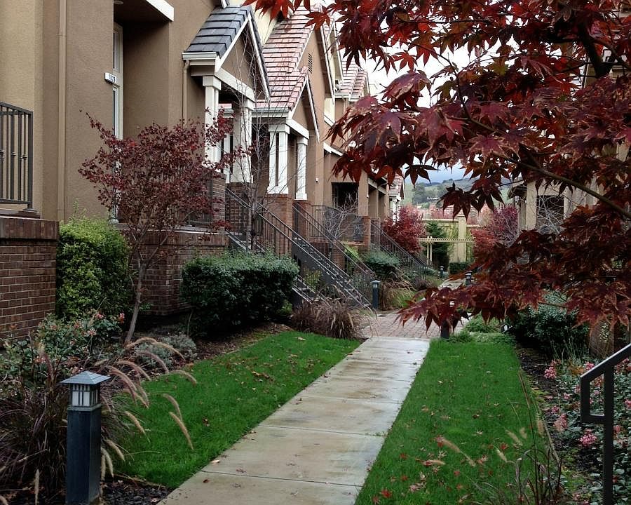 Quiet tree-lined walk way