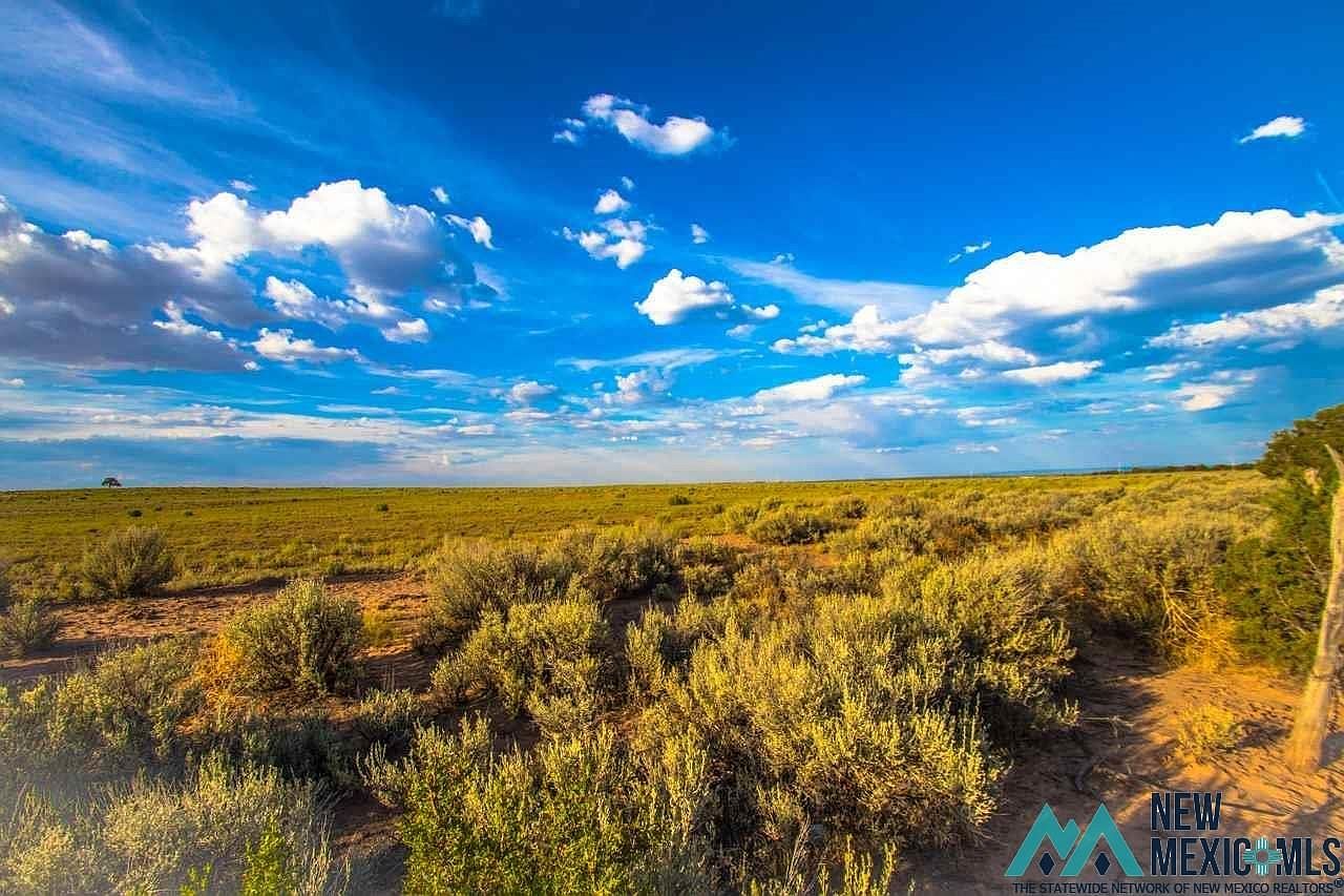 20 Jones Ranch Rd, Vanderwagen, NM 87326 MLS 20230419 Zillow