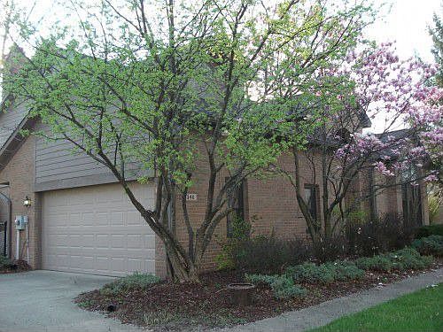 3rd image of 8346 Admirals Landing Pl