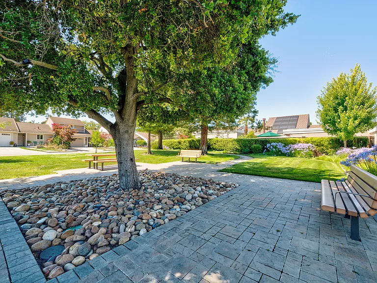 318 Lone Oak Dr — Photo 33