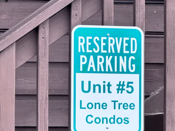 300 Belleview Ave Unit 5, Crested Butte, CO 81224