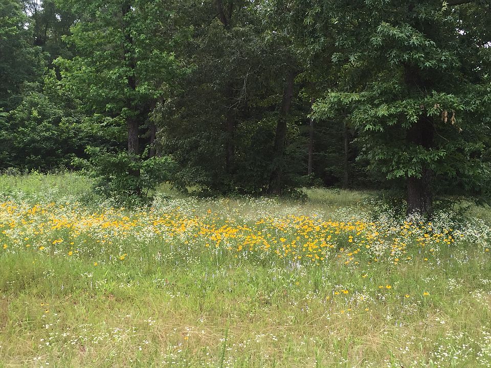2nd image of Lakeridge Estates-lot #9