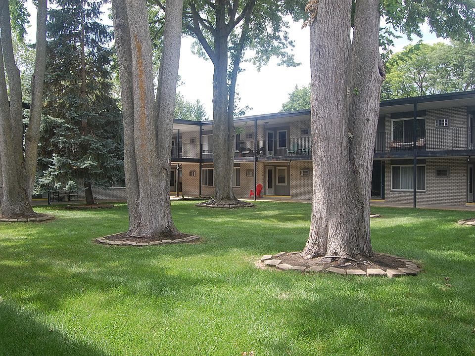 Interior courtyard with tree canopy.