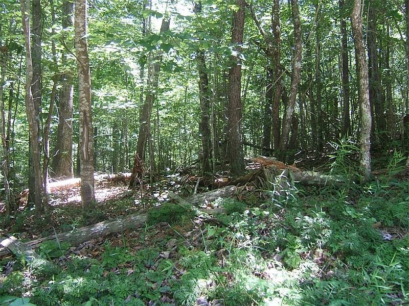 1st image of 0 Sourwood Ln