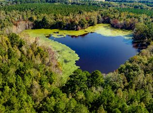 2947 Ivey Ave, Claxton, GA 30417