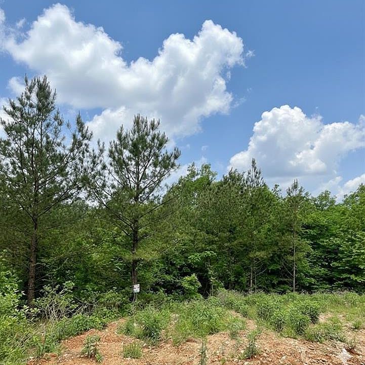 1st image of 656 Timber Creek Trl