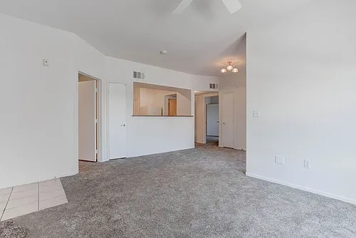 6650 W Warm Springs Rd Photo 1