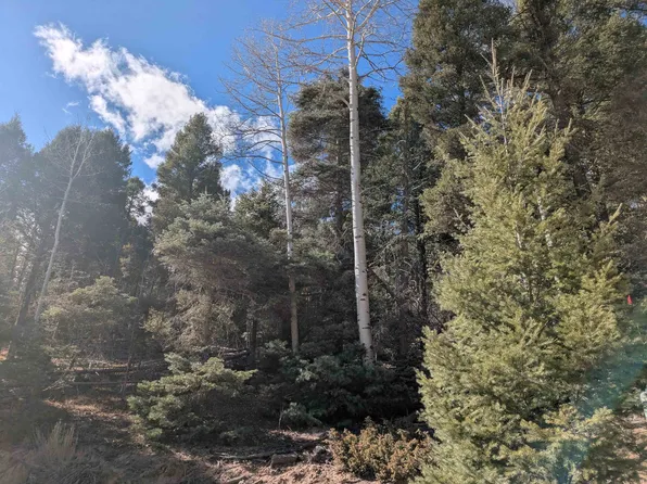 1370 Santo Domingo Trl, Angel Fire, NM 87710
