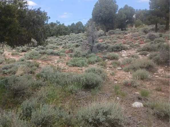 0 3rd St, Big Bear City, CA 92314