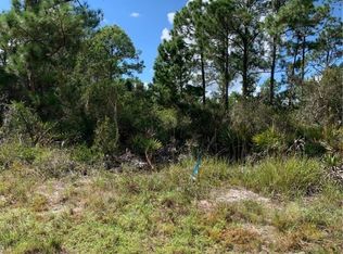 1148 Wildflower St, Lake Placid, FL 33852