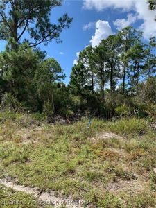 1148 Wildflower St, Lake Placid, FL, 33852