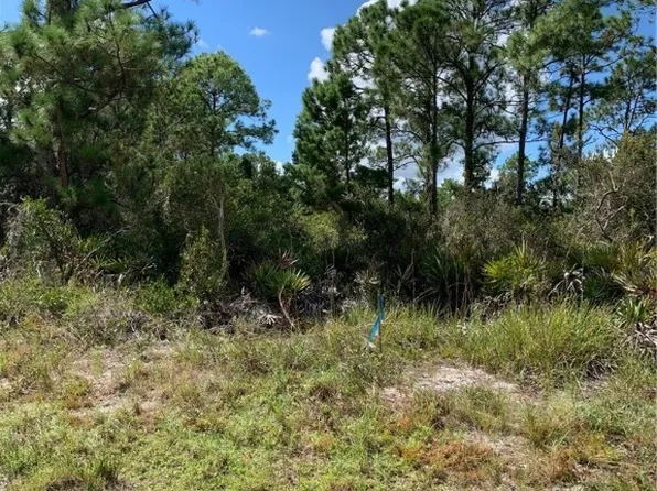 1148 Wildflower St, Lake Placid, FL 33852